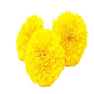 Fresh Flower Marigold Yellow, 450 g