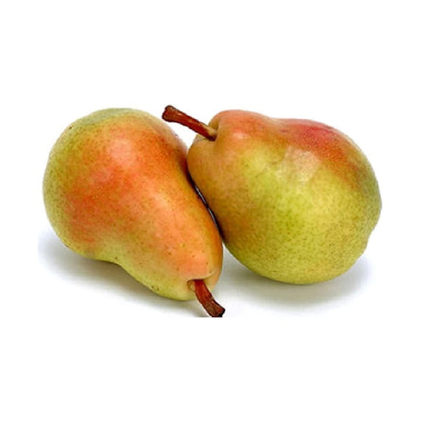 Fresh Pear Beauty Red Regular, 1000g