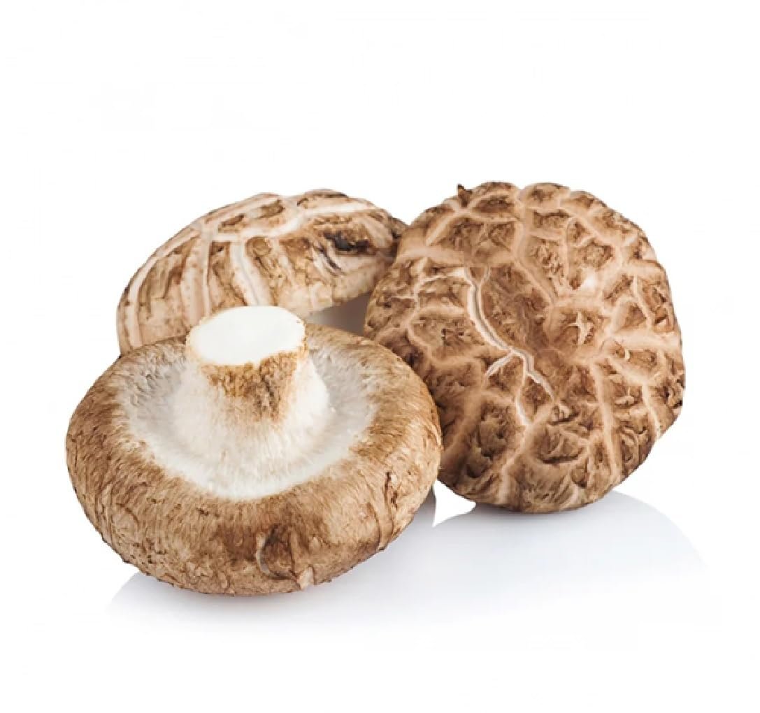 Shiitake Mushroom,500 gm