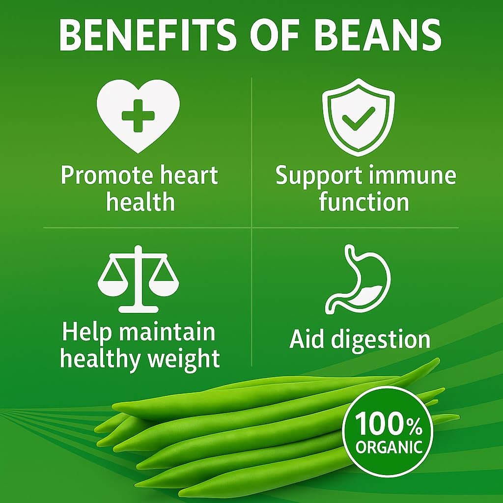 India Gardening Beans Seeds for Home Gardening | High Yield, Organic & Non-GMO | Easy to Grow in Pots, Balcony, Terrace & Backyard | Fresh & Nutritious Vegetable Seeds - Image 3