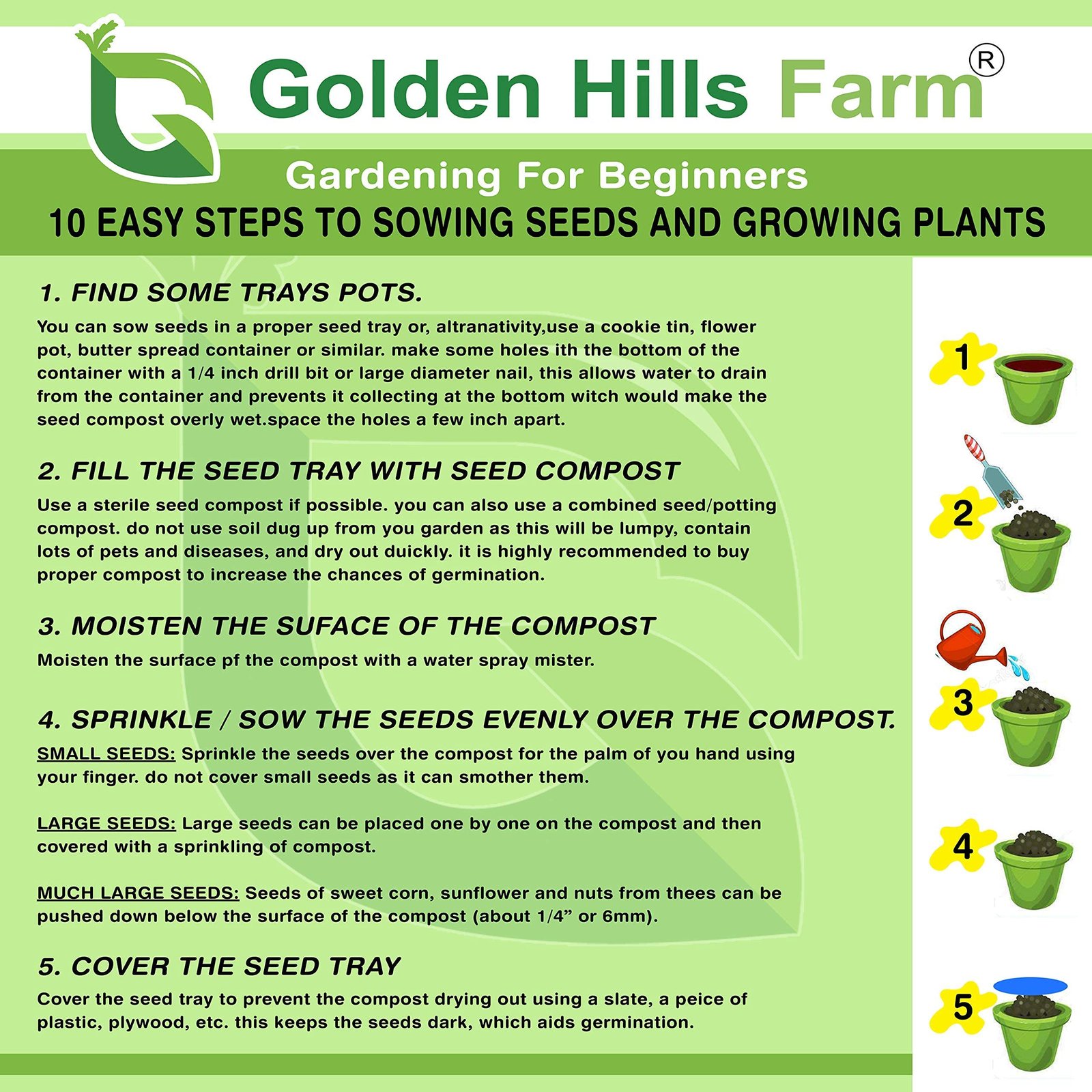 Golden Hills Farm Chinese Cabbage Fresh Organic Vegetable 500-518 seeds - Image 2